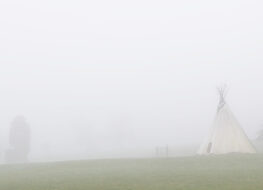 004 - auch landeinwärts herrscht ruhe